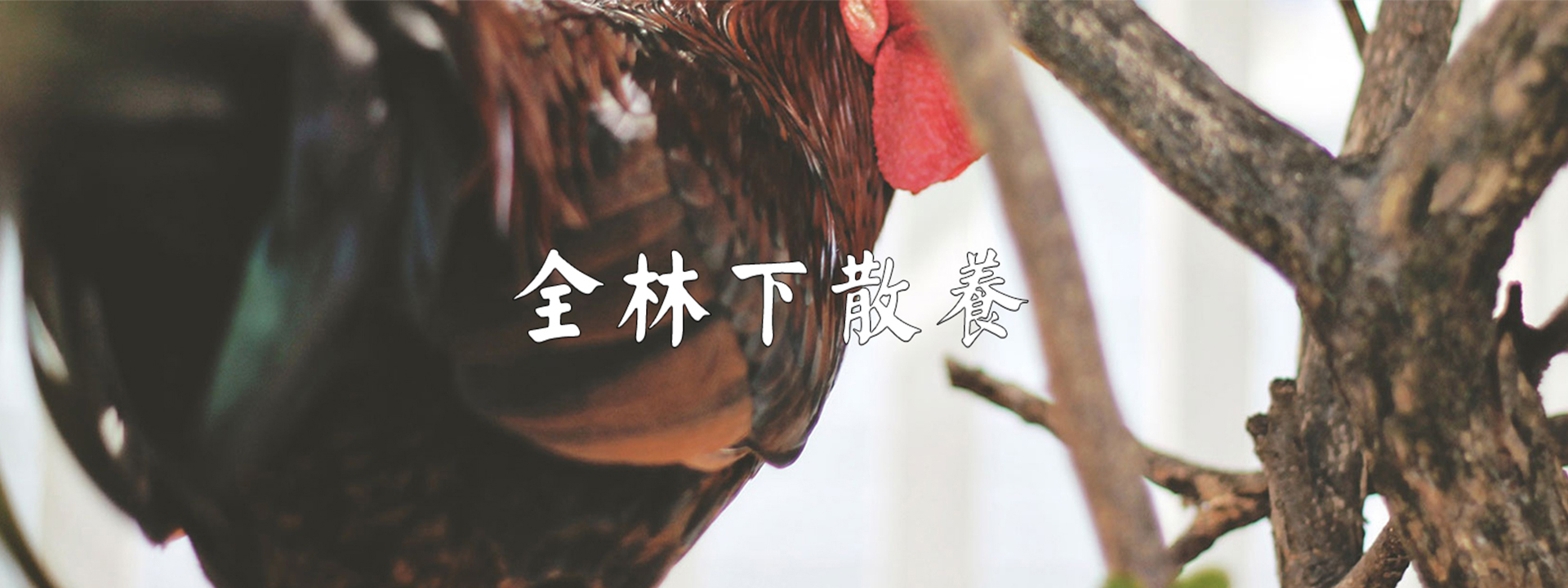重庆花火视频APP下载安装农产品配送有限公司